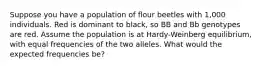 Suppose you have a population of flour beetles with 1,000 individuals. Red is dominant to black, so BB and Bb genotypes are red. Assume the population is at Hardy-Weinberg equilibrium, with equal frequencies of the two alleles. What would the expected frequencies be?