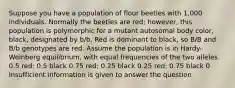 Suppose you have a population of flour beetles with 1,000 individuals. Normally the beetles are red; however, this population is polymorphic for a mutant autosomal body color, black, designated by b/b. Red is dominant to black, so B/B and B/b genotypes are red. Assume the population is in Hardy-Weinberg equilibrium, with equal frequencies of the two alleles. 0.5 red; 0.5 black 0.75 red; 0.25 black 0.25 red; 0.75 black 0 Insufficient information is given to answer the question