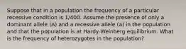 Suppose that in a population the frequency of a particular recessive condition is 1/400. Assume the presence of only a dominant allele (A) and a recessive allele (a) in the population and that the population is at Hardy-Weinberg equilibrium. What is the frequency of heterozygotes in the population?