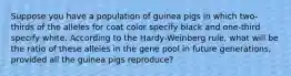 Suppose you have a population of guinea pigs in which two-thirds of the alleles for coat color specify black and one-third specify white. According to the Hardy-Weinberg rule, what will be the ratio of these alleles in the gene pool in future generations, provided all the guinea pigs reproduce?