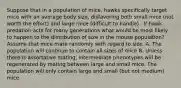 Suppose that in a population of mice, hawks specifically target mice with an average body size, disfavoring both small mice (not worth the effort) and large mice (difficult to handle) . If hawk predation acts for many generations what would be most likely to happen to the distribution of size in the mouse population? Assume that mice mate randomly with regard to size. A. The population will continue to contain all sizes of mice B. Unless there is assortative mating, intermediate phenotypes will be regenerated by mating between large and small mice. The population will only contain large and small (but not medium) mice