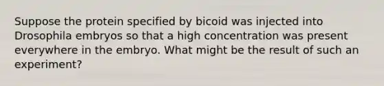 Suppose the protein specified by bicoid was injected into Drosophila embryos so that a high concentration was present everywhere in the embryo. What might be the result of such an experiment?