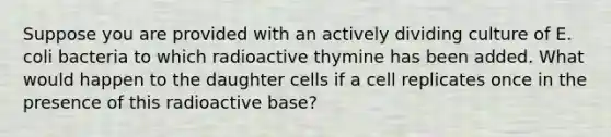 Suppose you are provided with an actively dividing culture of E. coli bacteria to which radioactive thymine has been added. What would happen to the daughter cells if a cell replicates once in the presence of this radioactive base?