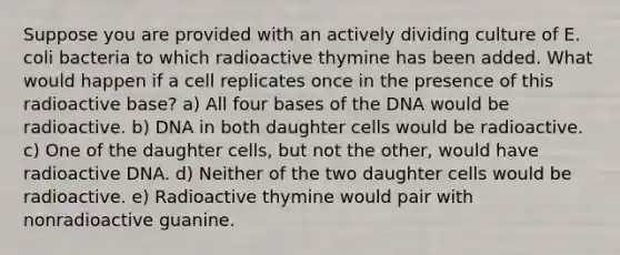 Suppose you are provided with an actively dividing culture of E. coli bacteria to which radioactive thymine has been added. What would happen if a cell replicates once in the presence of this radioactive base? a) All four bases of the DNA would be radioactive. b) DNA in both daughter cells would be radioactive. c) One of the daughter cells, but not the other, would have radioactive DNA. d) Neither of the two daughter cells would be radioactive. e) Radioactive thymine would pair with nonradioactive guanine.