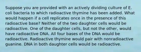 Suppose you are provided with an actively dividing culture of E. coli bacteria to which radioactive thymine has been added. What would happen if a cell replicates once in the presence of this radioactive base? Neither of the two daughter cells would be radioactive. One of the daughter cells, but not the other, would have radioactive DNA. All four bases of the DNA would be radioactive. Radioactive thymine would pair with nonradioactive guanine. DNA in both daughter cells would be radioactive.