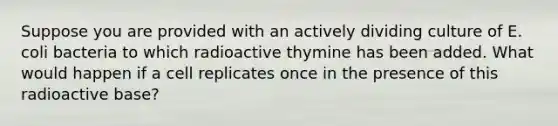 Suppose you are provided with an actively dividing culture of E. coli bacteria to which radioactive thymine has been added. What would happen if a cell replicates once in the presence of this radioactive base?