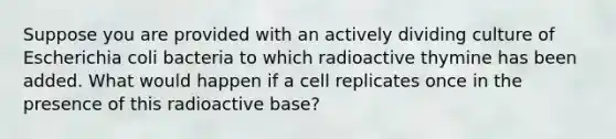 Suppose you are provided with an actively dividing culture of Escherichia coli bacteria to which radioactive thymine has been added. What would happen if a cell replicates once in the presence of this radioactive base?