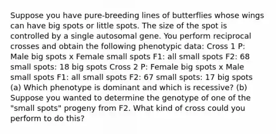 Suppose you have pure-breeding lines of butterflies whose wings can have big spots or little spots. The size of the spot is controlled by a single autosomal gene. You perform reciprocal crosses and obtain the following phenotypic data: Cross 1 P: Male big spots x Female small spots F1: all small spots F2: 68 small spots: 18 big spots Cross 2 P: Female big spots x Male small spots F1: all small spots F2: 67 small spots: 17 big spots (a) Which phenotype is dominant and which is recessive? (b) Suppose you wanted to determine the genotype of one of the "small spots" progeny from F2. What kind of cross could you perform to do this?