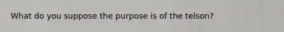 What do you suppose the purpose is of the telson?