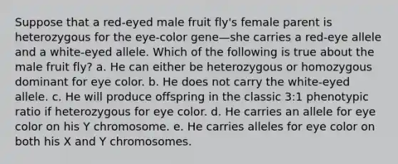 Suppose that a red-eyed male fruit fly's female parent is heterozygous for the eye-color gene—she carries a red-eye allele and a white-eyed allele. Which of the following is true about the male fruit fly? a. He can either be heterozygous or homozygous dominant for eye color. b. He does not carry the white-eyed allele. c. He will produce offspring in the classic 3:1 phenotypic ratio if heterozygous for eye color. d. He carries an allele for eye color on his Y chromosome. e. He carries alleles for eye color on both his X and Y chromosomes.