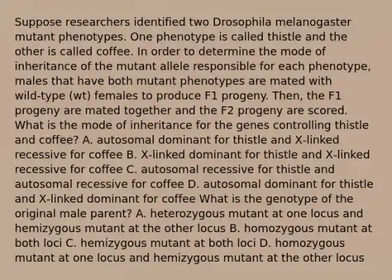 Suppose researchers identified two Drosophila melanogaster mutant phenotypes. One phenotype is called thistle and the other is called coffee. In order to determine the mode of inheritance of the mutant allele responsible for each phenotype, males that have both mutant phenotypes are mated with wild‑type (wt) females to produce F1 progeny. Then, the F1 progeny are mated together and the F2 progeny are scored. What is the mode of inheritance for the genes controlling thistle and coffee? A. autosomal dominant for thistle and X‑linked recessive for coffee B. X‑linked dominant for thistle and X‑linked recessive for coffee C. autosomal recessive for thistle and autosomal recessive for coffee D. autosomal dominant for thistle and X‑linked dominant for coffee What is the genotype of the original male parent? A. heterozygous mutant at one locus and hemizygous mutant at the other locus B. homozygous mutant at both loci C. hemizygous mutant at both loci D. homozygous mutant at one locus and hemizygous mutant at the other locus