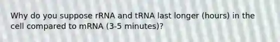 Why do you suppose rRNA and tRNA last longer (hours) in the cell compared to mRNA (3-5 minutes)?