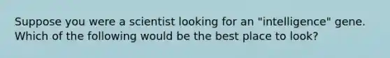 Suppose you were a scientist looking for an "intelligence" gene. Which of the following would be the best place to look?