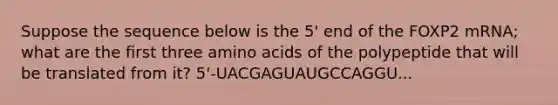 Suppose the sequence below is the 5' end of the FOXP2 mRNA; what are the first three <a href='https://www.questionai.com/knowledge/k9gb720LCl-amino-acids' class='anchor-knowledge'>amino acids</a> of the polypeptide that will be translated from it? 5'-UACGAGUAUGCCAGGU...