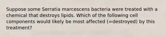 Suppose some Serratia marcescens bacteria were treated with a chemical that destroys lipids. Which of the following cell components would likely be most affected (=destroyed) by this treatment?