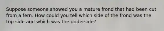 Suppose someone showed you a mature frond that had been cut from a fern. How could you tell which side of the frond was the top side and which was the underside?