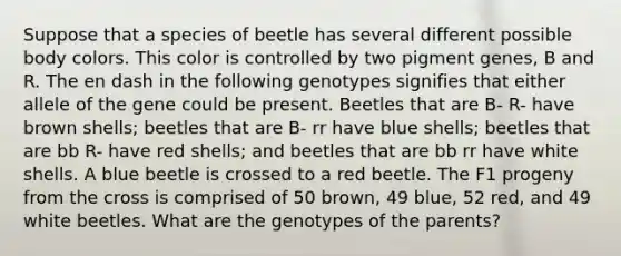 Suppose that a species of beetle has several different possible body colors. This color is controlled by two pigment genes, B and R. The en dash in the following genotypes signifies that either allele of the gene could be present. Beetles that are B- R- have brown shells; beetles that are B- rr have blue shells; beetles that are bb R- have red shells; and beetles that are bb rr have white shells. A blue beetle is crossed to a red beetle. The F1 progeny from the cross is comprised of 50 brown, 49 blue, 52 red, and 49 white beetles. What are the genotypes of the parents?