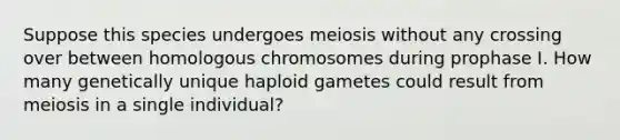 Suppose this species undergoes meiosis without any crossing over between homologous chromosomes during prophase I. How many genetically unique haploid gametes could result from meiosis in a single individual?