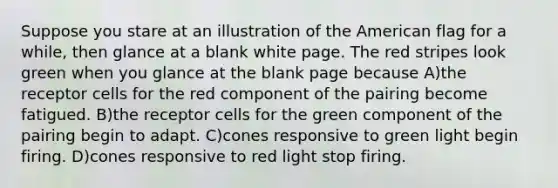 Suppose you stare at an illustration of the American flag for a while, then glance at a blank white page. The red stripes look green when you glance at the blank page because A)the receptor cells for the red component of the pairing become fatigued. B)the receptor cells for the green component of the pairing begin to adapt. C)cones responsive to green light begin firing. D)cones responsive to red light stop firing.