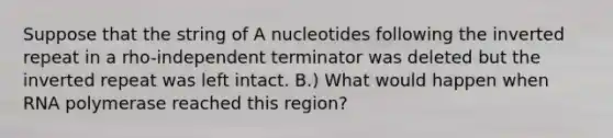 Suppose that the string of A nucleotides following the inverted repeat in a rho-independent terminator was deleted but the inverted repeat was left intact. B.) What would happen when RNA polymerase reached this region?