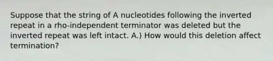 Suppose that the string of A nucleotides following the inverted repeat in a rho-independent terminator was deleted but the inverted repeat was left intact. A.) How would this deletion affect termination?