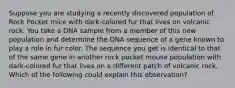 Suppose you are studying a recently discovered population of Rock Pocket mice with dark-colored fur that lives on volcanic rock. You take a DNA sample from a member of this new population and determine the DNA sequence of a gene known to play a role in fur color. The sequence you get is identical to that of the same gene in another rock pocket mouse population with dark-colored fur that lives on a different patch of volcanic rock. Which of the following could explain this observation?