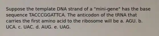 Suppose the template DNA strand of a "mini-gene" has the base sequence TACCCGGATTCA. The anticodon of the tRNA that carries the first amino acid to the ribosome will be a. AGU. b. UCA. c. UAC. d. AUG. e. UAG.