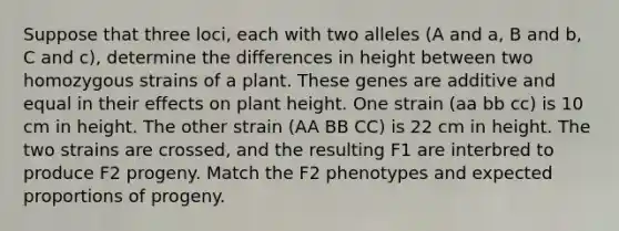 Suppose that three loci, each with two alleles (A and a, B and b, C and c), determine the differences in height between two homozygous strains of a plant. These genes are additive and equal in their effects on plant height. One strain (aa bb cc) is 10 cm in height. The other strain (AA BB CC) is 22 cm in height. The two strains are crossed, and the resulting F1 are interbred to produce F2 progeny. Match the F2 phenotypes and expected proportions of progeny.