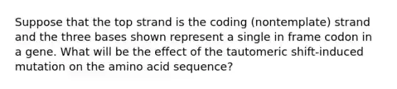 Suppose that the top strand is the coding (nontemplate) strand and the three bases shown represent a single in frame codon in a gene. What will be the effect of the tautomeric shift-induced mutation on the amino acid sequence?