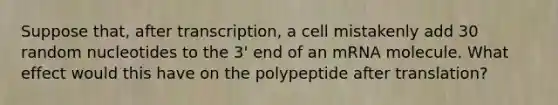 Suppose that, after transcription, a cell mistakenly add 30 random nucleotides to the 3' end of an mRNA molecule. What effect would this have on the polypeptide after translation?