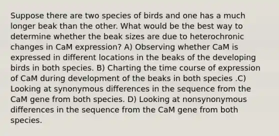 Suppose there are two species of birds and one has a much longer beak than the other. What would be the best way to determine whether the beak sizes are due to heterochronic changes in CaM expression? A) Observing whether CaM is expressed in different locations in the beaks of the developing birds in both species. B) Charting the time course of expression of CaM during development of the beaks in both species .C) Looking at synonymous differences in the sequence from the CaM gene from both species. D) Looking at nonsynonymous differences in the sequence from the CaM gene from both species.