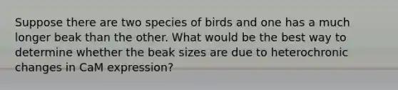 Suppose there are two species of birds and one has a much longer beak than the other. What would be the best way to determine whether the beak sizes are due to heterochronic changes in CaM expression?