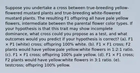 Suppose you undertake a cross between true-breeding yellow-flowered mustard plants and true-breeding white-flowered mustard plants. The resulting F1 offspring all have pale yellow flowers, intermediate between the parental flower color types. If your hypothesis is that this trait may show incomplete dominance, what cross could you propose as a test, and what outcomes would you predict if your hypothesis is correct? (a). F1 × P1 (white) cross; offspring 100% white. (b). F1 × F1 cross; F2 plants would have yellow:pale yellow:white flowers in 1:2:1 ratio. (c). F1 × F1 cross; offspring 100% pale yellow. (d). F1 × F1 cross; F2 plants would have yellow:white flowers in 3:1 ratio. (e). testcross; offspring 100% yellow.