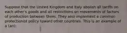 Suppose that the United Kingdom and Italy abolish all tariffs on each other's goods and all restrictions on movements of factors of production between them. They also implement a common protectionist policy toward other countries. This is an example of a (an):