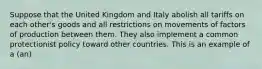 Suppose that the United Kingdom and Italy abolish all tariffs on each other's goods and all restrictions on movements of factors of production between them. They also implement a common protectionist policy toward other countries. This is an example of a (an)