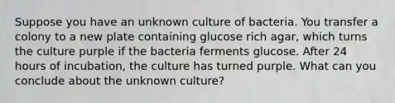 Suppose you have an unknown culture of bacteria. You transfer a colony to a new plate containing glucose rich agar, which turns the culture purple if the bacteria ferments glucose. After 24 hours of incubation, the culture has turned purple. What can you conclude about the unknown culture?