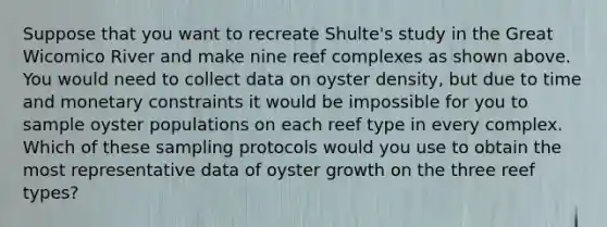 Suppose that you want to recreate Shulte's study in the Great Wicomico River and make nine reef complexes as shown above. You would need to collect data on oyster density, but due to time and monetary constraints it would be impossible for you to sample oyster populations on each reef type in every complex. Which of these sampling protocols would you use to obtain the most representative data of oyster growth on the three reef types?