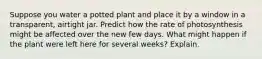 Suppose you water a potted plant and place it by a window in a transparent, airtight jar. Predict how the rate of photosynthesis might be affected over the new few days. What might happen if the plant were left here for several weeks? Explain.