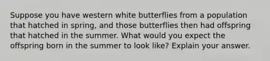 Suppose you have western white butterflies from a population that hatched in spring, and those butterflies then had offspring that hatched in the summer. What would you expect the offspring born in the summer to look like? Explain your answer.