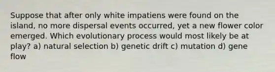 Suppose that after only white impatiens were found on the island, no more dispersal events occurred, yet a new flower color emerged. Which evolutionary process would most likely be at play? a) natural selection b) genetic drift c) mutation d) gene flow