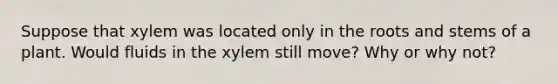 Suppose that xylem was located only in the roots and stems of a plant. Would fluids in the xylem still move? Why or why not?