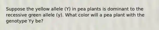 Suppose the yellow allele (Y) in pea plants is dominant to the recessive green allele (y). What color will a pea plant with the genotype Yy be?