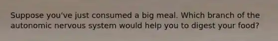 Suppose you've just consumed a big meal. Which branch of the autonomic nervous system would help you to digest your food?