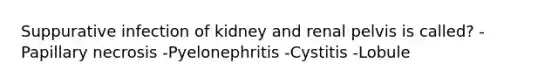 Suppurative infection of kidney and renal pelvis is called? -Papillary necrosis -Pyelonephritis -Cystitis -Lobule