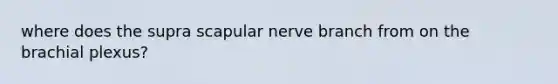 where does the supra scapular nerve branch from on the brachial plexus?