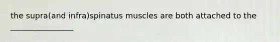 the supra(and infra)spinatus muscles are both attached to the ________________