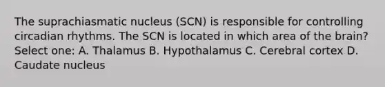 The suprachiasmatic nucleus (SCN) is responsible for controlling circadian rhythms. The SCN is located in which area of the brain? Select one: A. Thalamus B. Hypothalamus C. Cerebral cortex D. Caudate nucleus