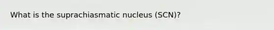 What is the suprachiasmatic nucleus (SCN)?