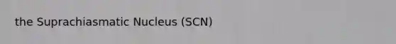 the Suprachiasmatic Nucleus (SCN)