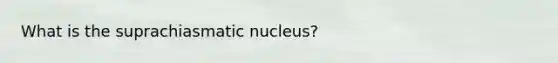 What is the suprachiasmatic nucleus?